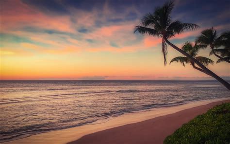 Download Beach Sunset Ocean Coast Wallpaper 1680x1050 Widescreen