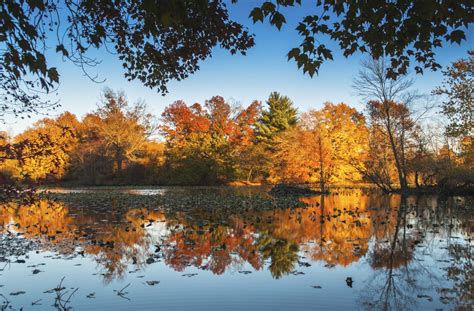 Top Ways to Safely Experience Outdoor Adventure in Bucks County