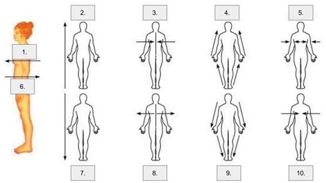 Anatomical Directions Test Diagram Quizlet
