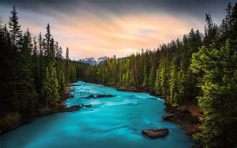 Download Wallpapers Forest River Mountain River Sunset Yoho