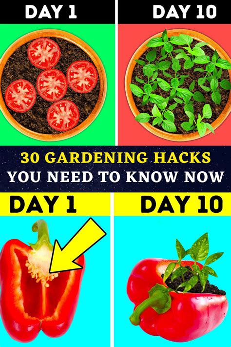 30 gardening hacks you need to know now gardening tips pretty tough hacks