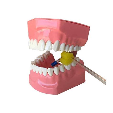 Medipros Mouth Propbite Block Split Type Hit Dental And Medical Supplies