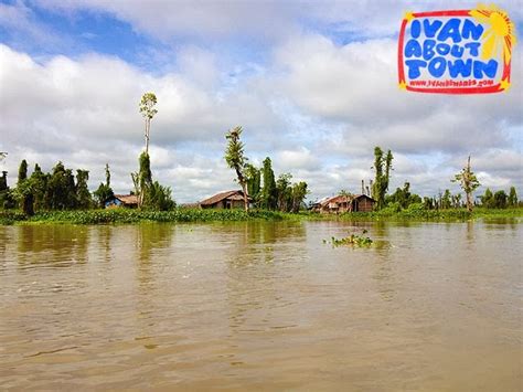 Agusan Del Sur Agusan Marsh Wildlife Sanctuary Ivan About Town