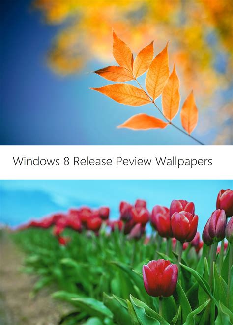 Windows 8 Release Preview Wallpapers By Misaki2009 On Deviantart
