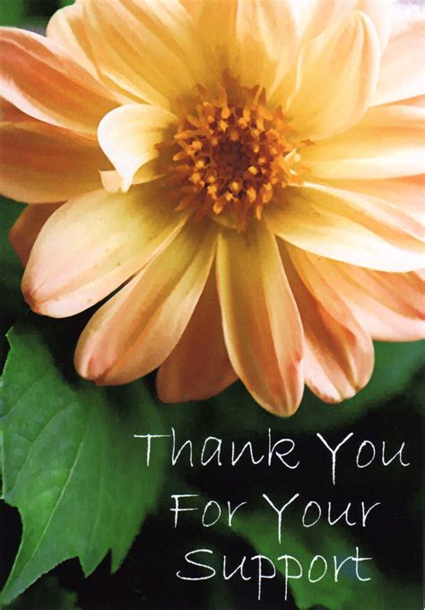 If i could find a way to thank you a million times over for this gift, i would within the blink of an eye. Thank You For Your Support Greeting Card