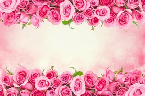 Rose For Love Romantic Background Valentine Background Romantic