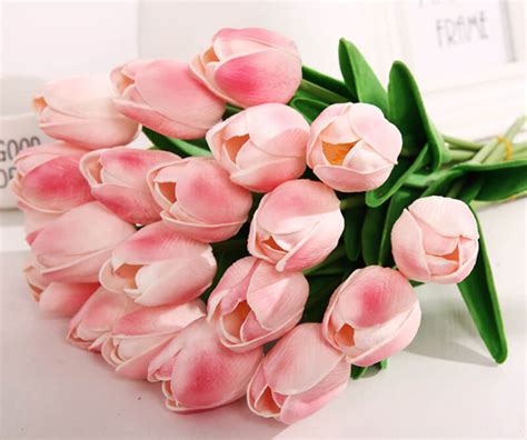 Giới Thiệu Về Hoa Tulip Hồng Và Những điều đặc Biệt Bạn Nên Biết