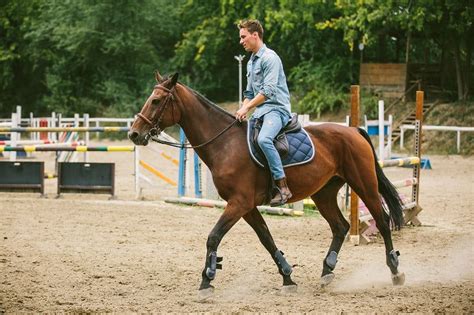How To Ride A Horse Like A Proper Gentleman The Manual Horses