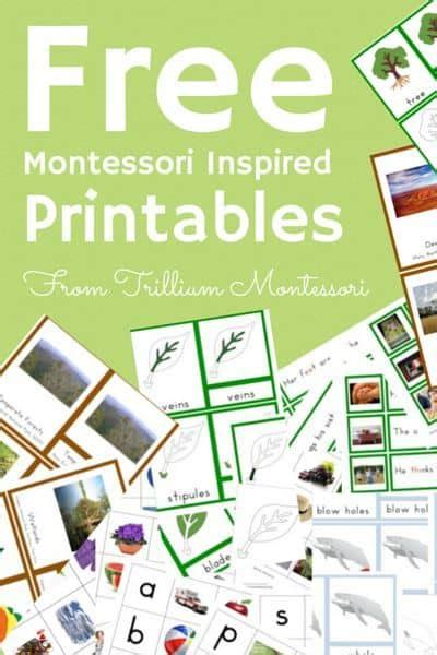 Montessori Nature Free Word Art Printables Montessori Quotes Vrogue