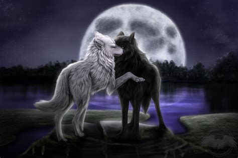 White wolf wolf's rain moose art old things snoopy horses anime fictional characters google search. 66+ Anime Wolf Wallpaper on WallpaperSafari