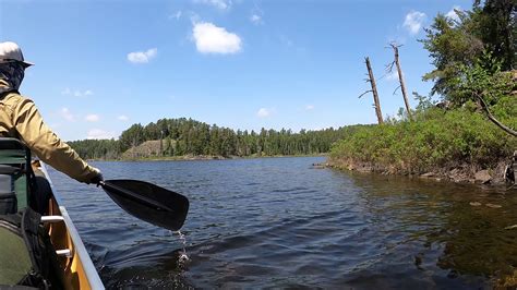 Bwca Lake 79 Pineknot Wins Again Boundary Waters Listening Point