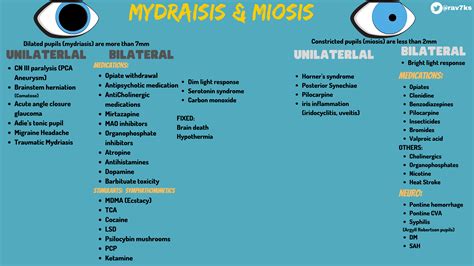 Mydriasis And Miosis Differential Diagnosis Framework Mydriasis