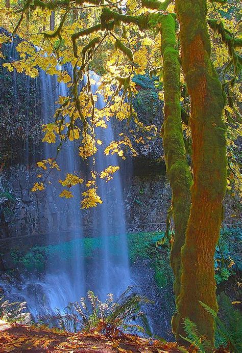 Autumn Falls Beautiful Nature Nature Scenery