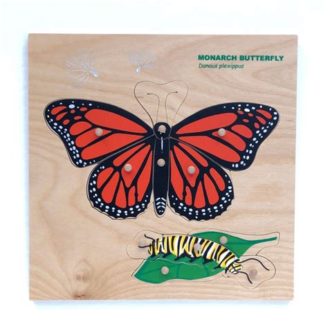 Montessori Monarch Butterfly Wooden Nomenclature Puzzle