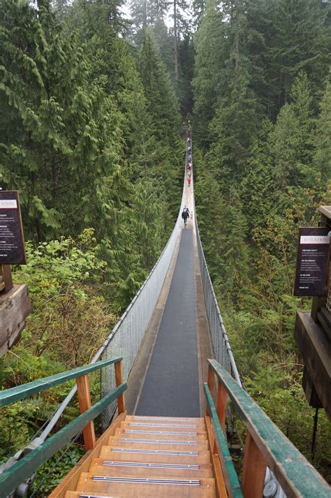 Out Last Night Capilano Suspension Bridge And Cliff Walk