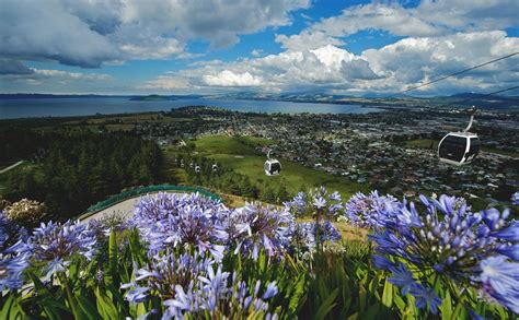 Bay Of Plenty And Rotorua New Zealand Holidays