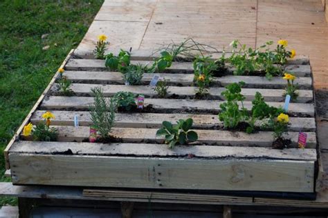 How To Plant An Herb Garden In A Salvage Wood Pallet How