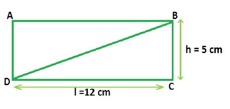 Area Of 2d Shapes Geeksforgeeks