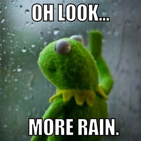 Best Rain Memes For Rainy Days And Stormy Weather Funny Rain Quotes