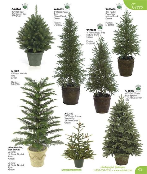 Evergreen Landscaping Evergreen Types Of Trees White Landscaping Ideas