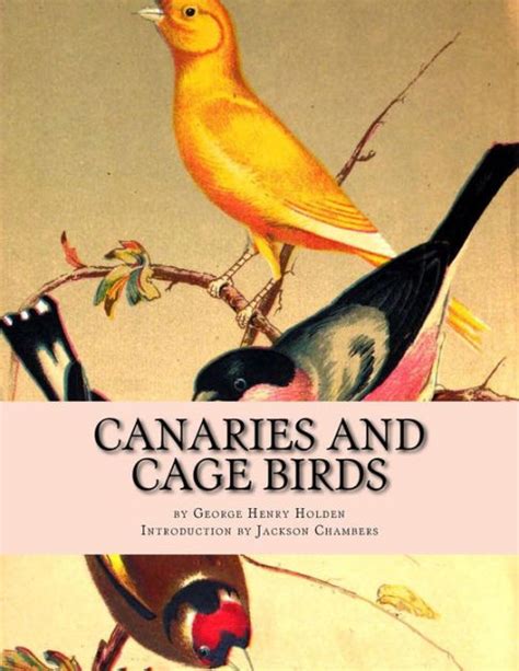 Canaries And Cage Birds Canaries Book 1 By George Henry Holden