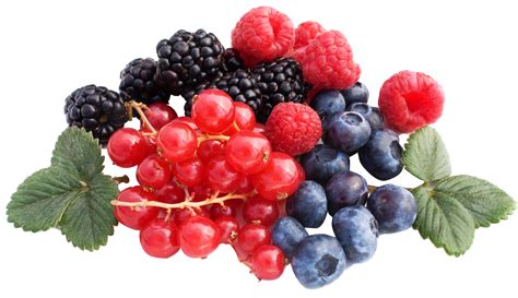Collection Of Berries Png Pluspng