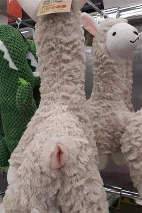People Are Kicking Off Over The Rude Design Of This Llama Toy Metro
