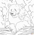 American Black Bear Coloring Page - Coloring Home