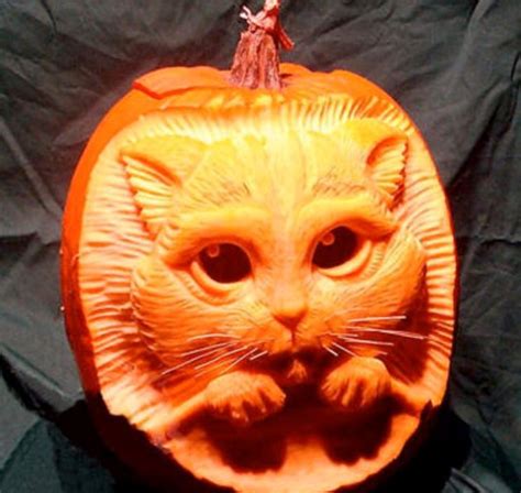 17 Of The Coolest Pumpkins Carved Like Animals Cuteness