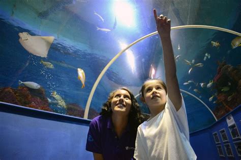 Hastings Aquarium Where To Go With Kids East Sussex