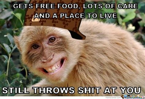 45 Very Funny Monkey Meme Images S Photos And Pictures Picsmine