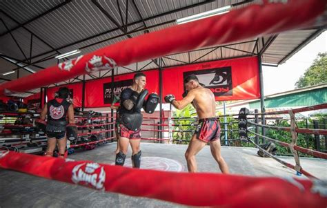 muay thai phuket fight club