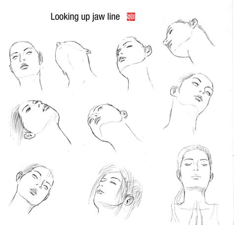 Looking Up Jaw Line By Randychen On Deviantart