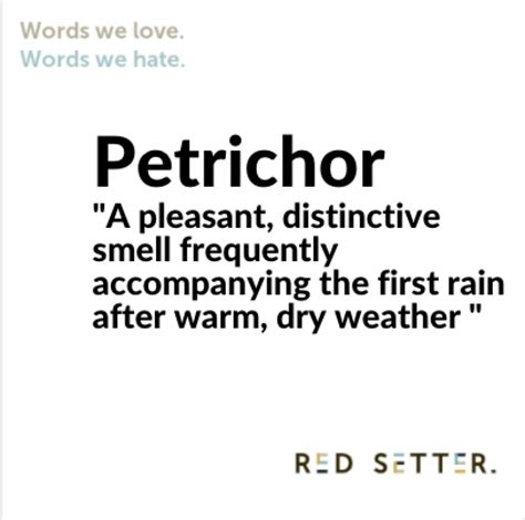Words We Love Petrichor The Smell Of Summer Rain Blog Red Setter