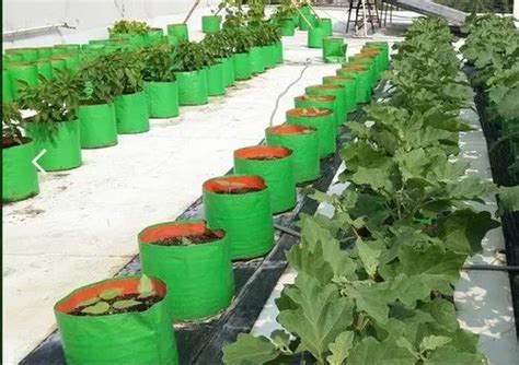 Hdpe Grow Bags Yuvagreen Terrace Gardening Leafy Vegetable Green Grow