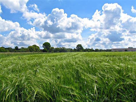 Spring Landscape Free Stock Photo Public Domain Pictures