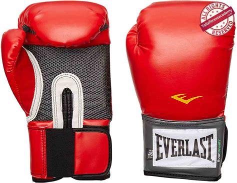مراجعة لأفضل قفازات الملاكمة للمبتدئين