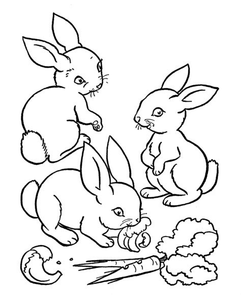 A propos de dessin de lapin. Coloriage Lapin