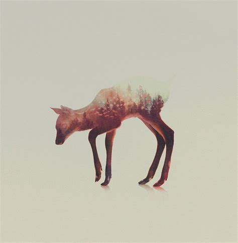 Animal Kingdom The Double Exposure Portraits Of Animals By Andreas Lie