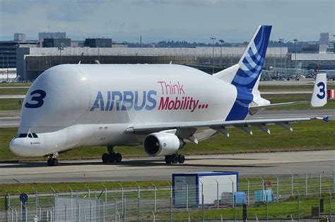The airbus beluga is a important transportation means for the logistics of airbus. The Giant Beluga Fleet Keeps Airbus Jet Production Humming ...