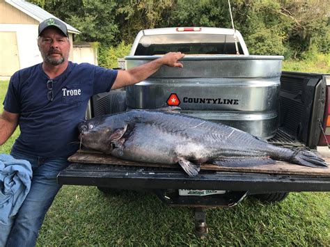 New State Record Blue Catfish Caught
