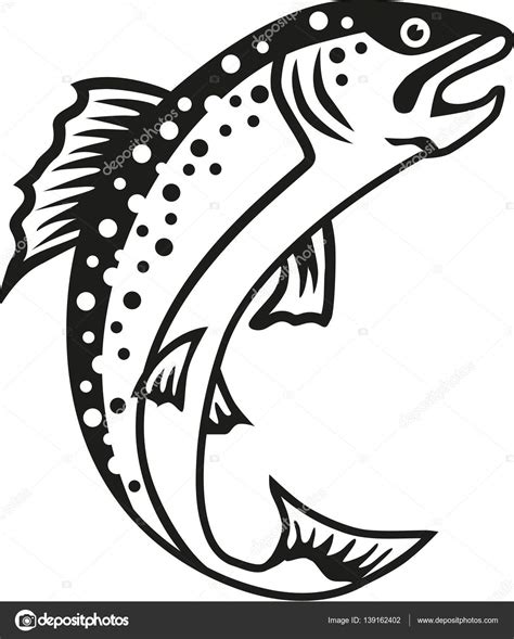 Trout Fish Vector — Stock Vector © Miceking 139162402