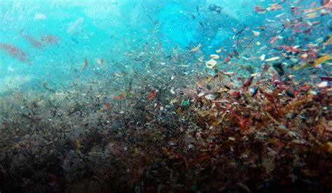 Fourteen Million Tons Of Microplastics Present On The Seafloor
