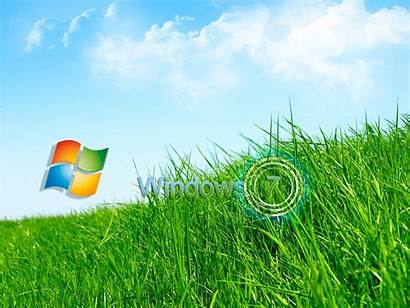 Windows Wallpapers Grass Desktop Window Bliss Backgrounds
