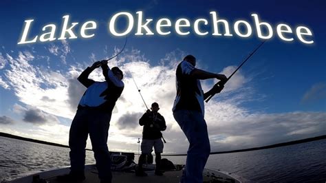 Another option is wax worms. Live bait fishing Lake Okeechobee with "Elite" Pro Angler ...