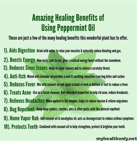 15 Unique Benefits Of Peppermint Oil You Must To Know My Health Only