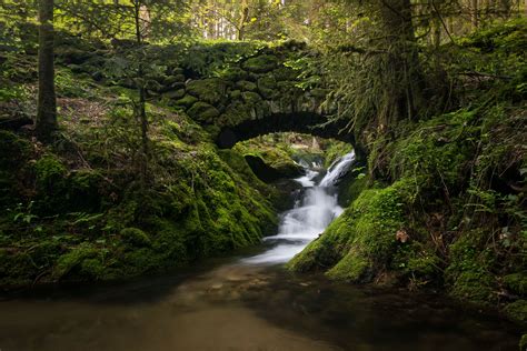 Wallpapers Germany Bridges Stream Moss Black Forest Nature Image