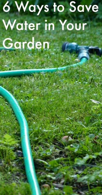 Urban Homesteading Basics 6 Ways To Save Water In Your Garden