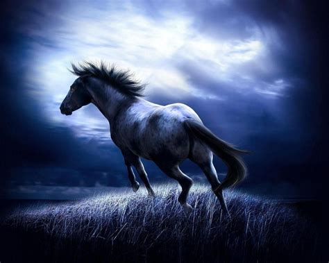3d Wallpaper Pictures Horse 3d Desktop Wallpapers And Pictures