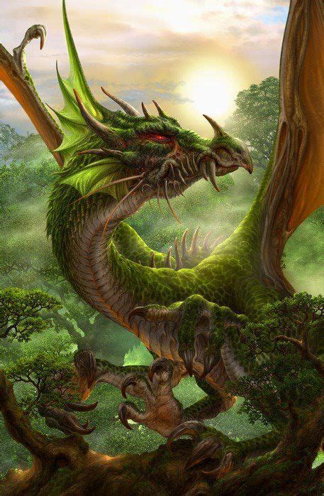 Forest Dragon Fantasy Dragon Dragon Art Dragon Pictures